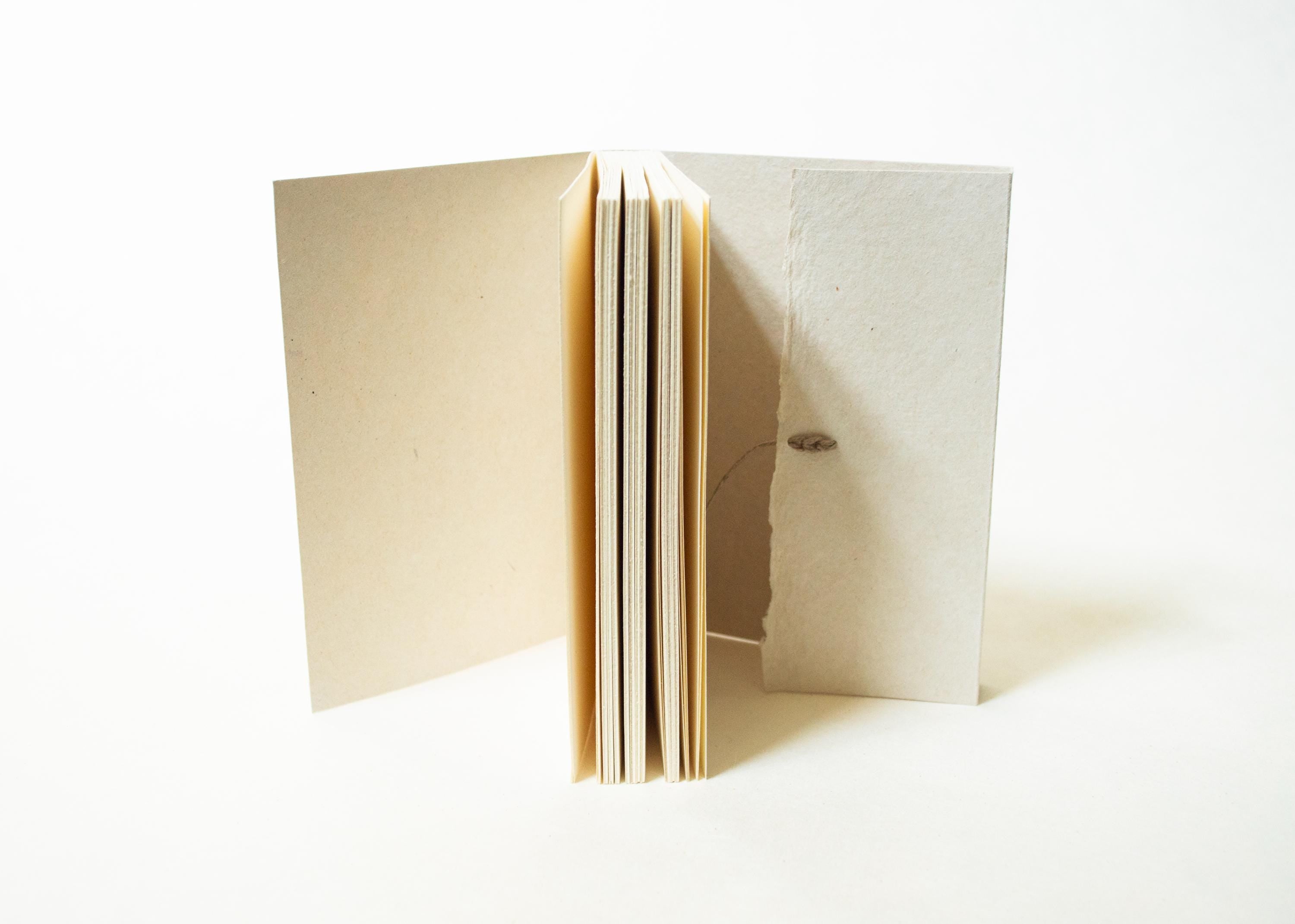 Blank Notebook - Dark Leather Spine