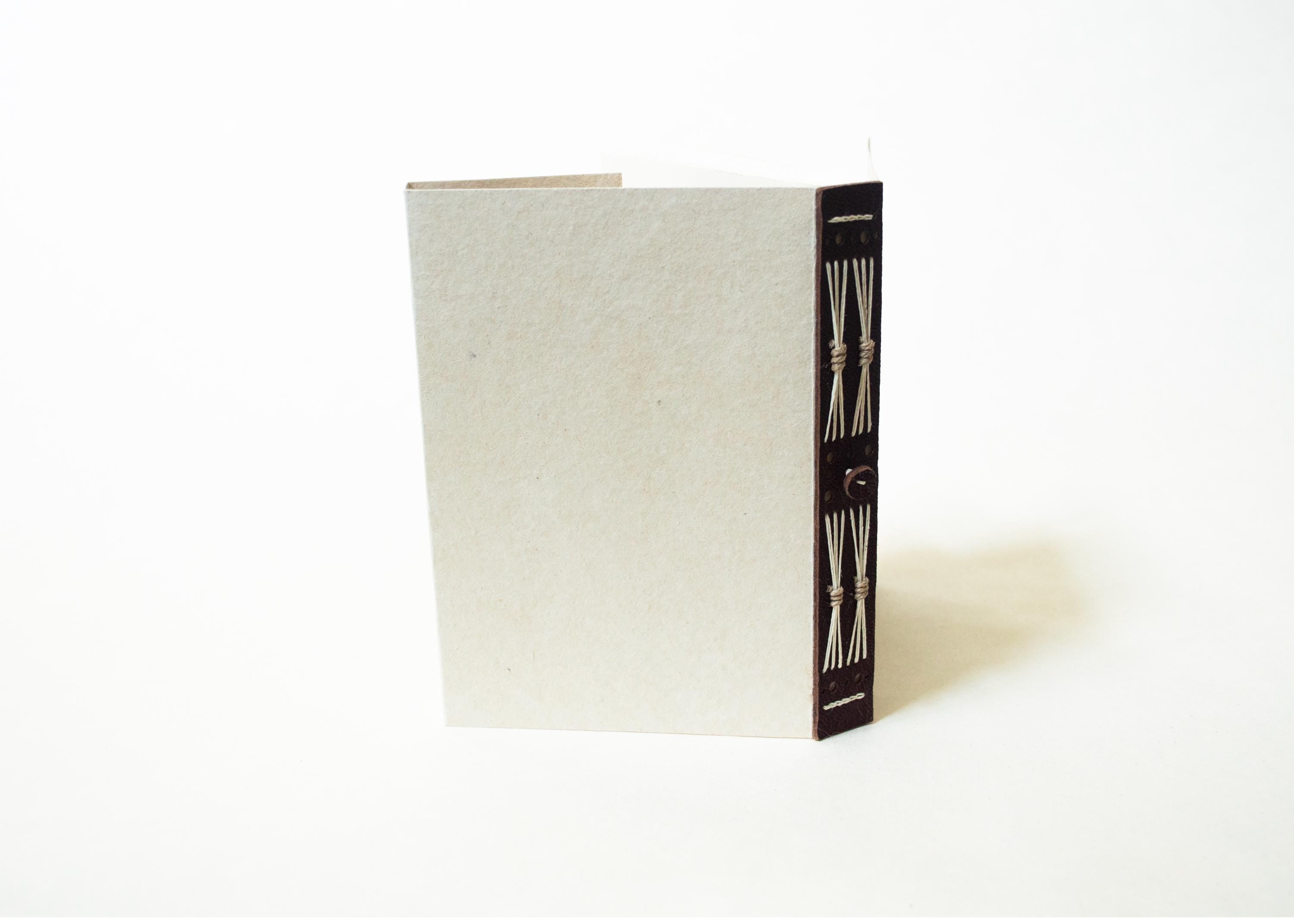 Blank Notebook - Dark Leather Spine