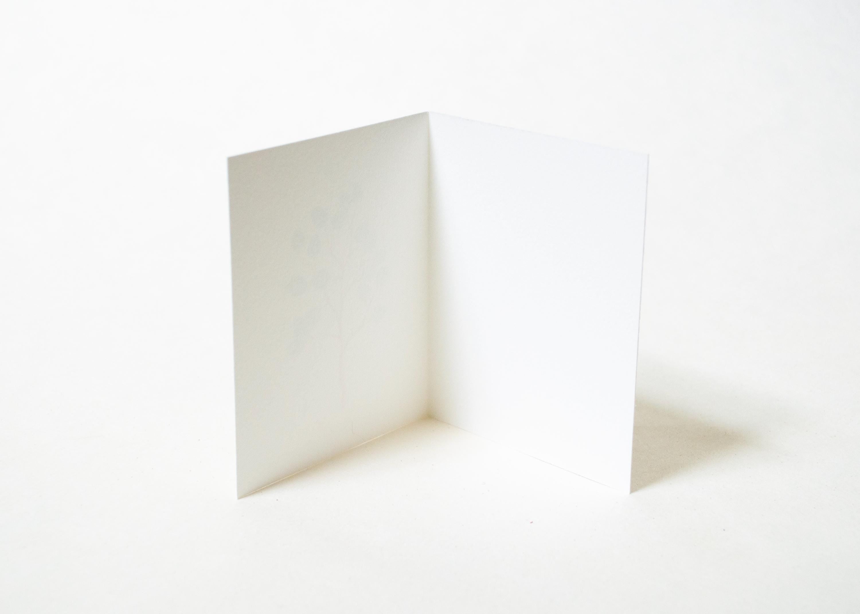 Blank Cards - Poppies & Eucalyptus
