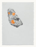 Specimen 017230801, n.(glorified g)