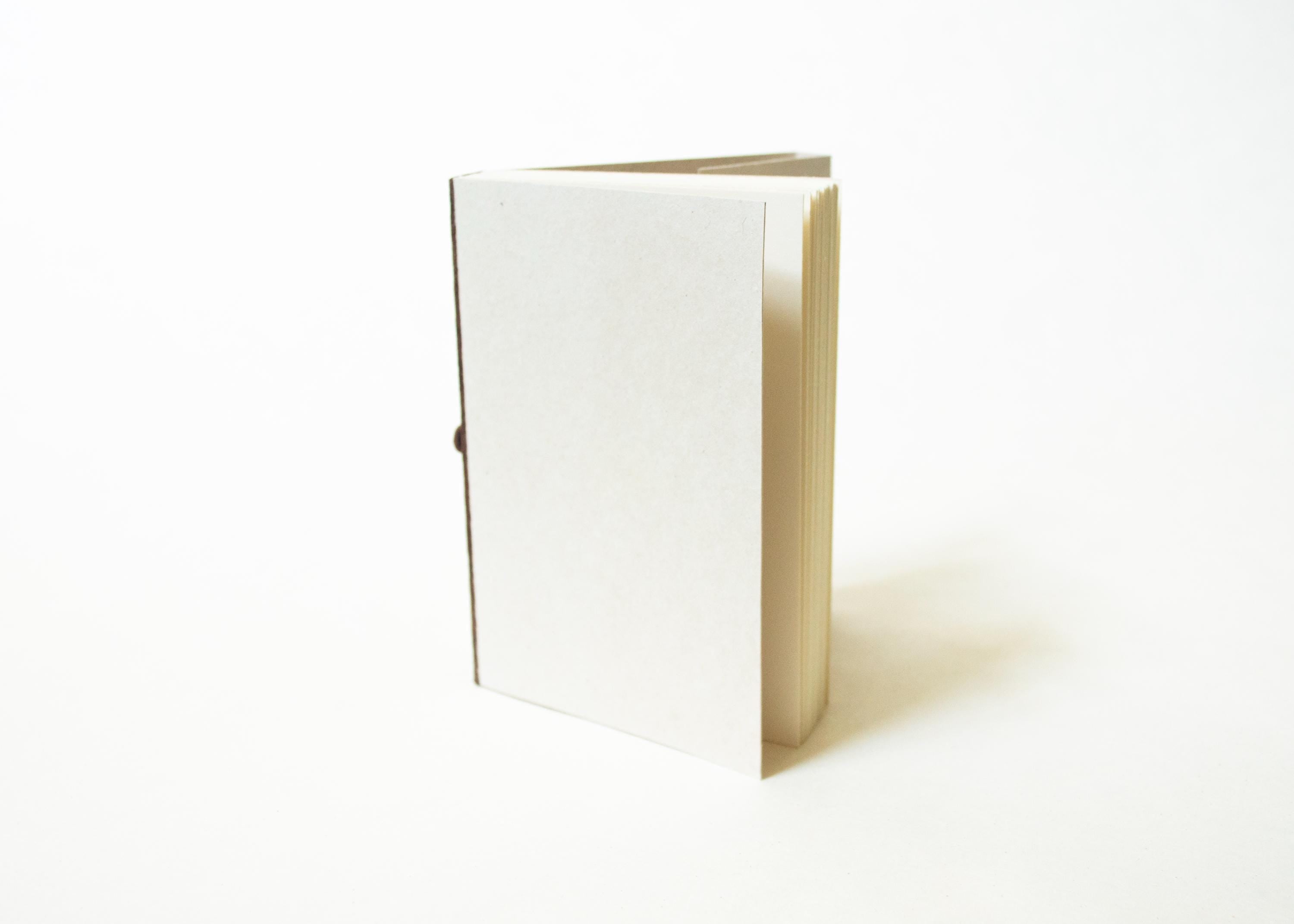 Blank Notebook - Dark Leather Spine