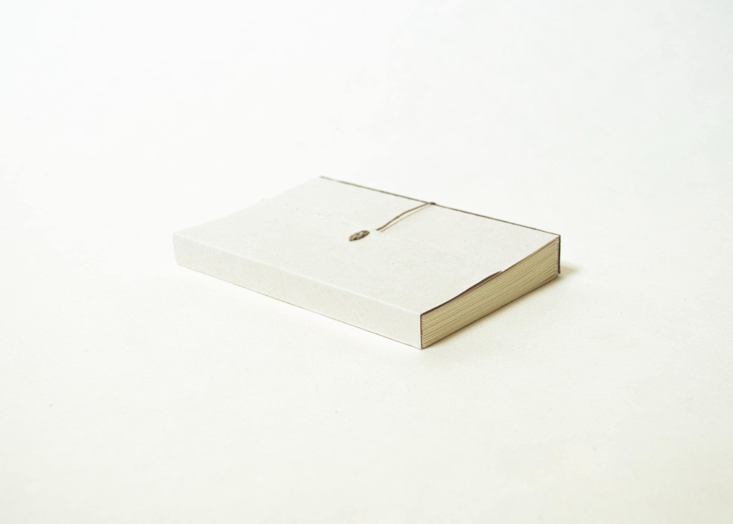 Blank Notebook - Dark Leather Spine
