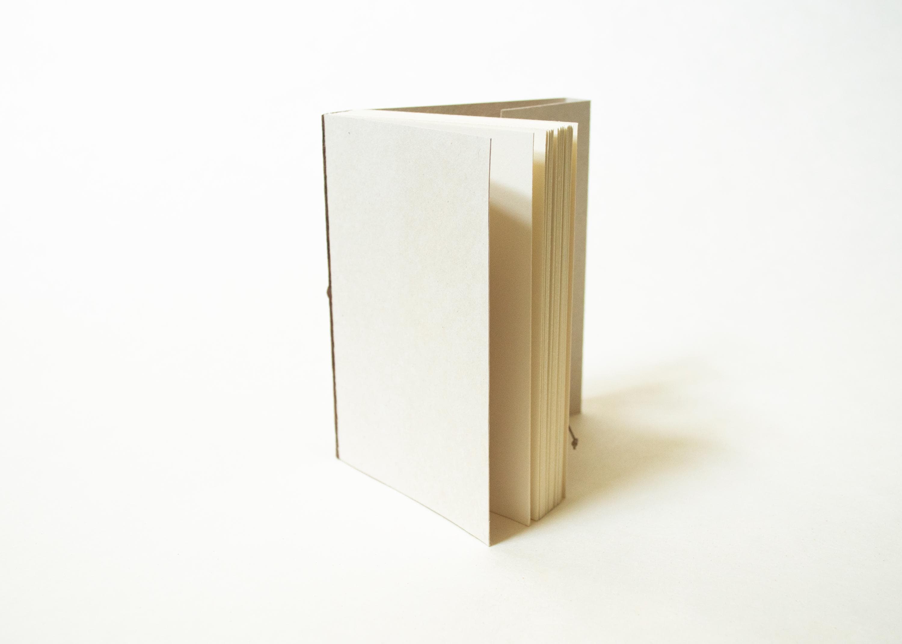 Blank Notebook - Dark Leather Spine