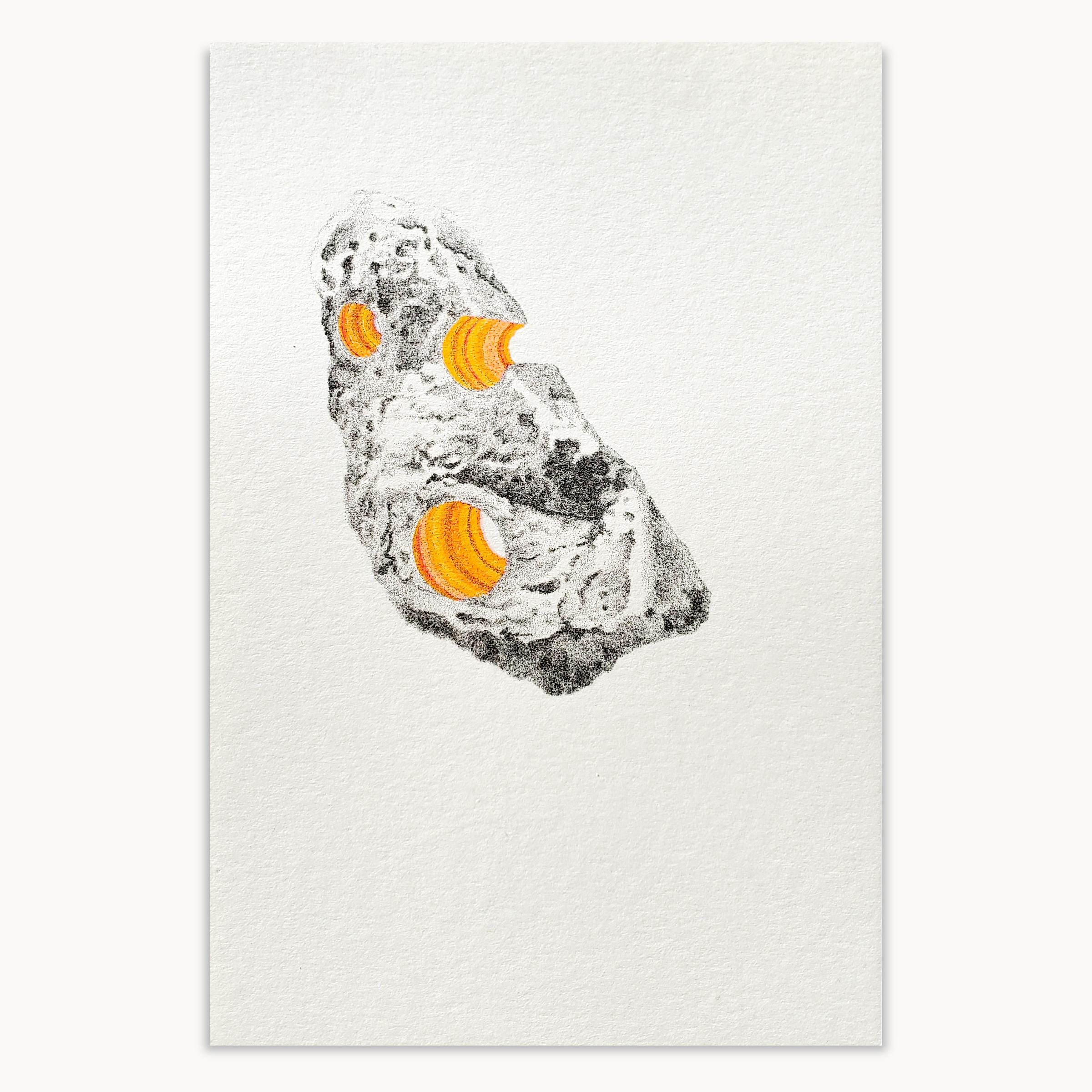 Geological Specimen Mini Print Set